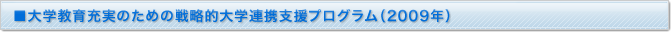 大学教育充実のための戦略的大学連携支援プログラム